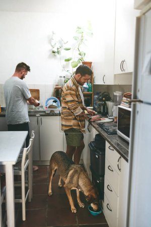 Téléchargez les photos : Qu'est-ce qu'on prend au petit déjeuner ? deux jeunes hommes faisant à manger ensemble dans la cuisine à la maison avec leur chien pendant la journée - en image libre de droit