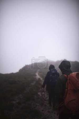 Téléchargez les photos : Allons où le sentier nous mènera. deux amis masculins en randonnée dans les montagnes par une journée brumeuse - en image libre de droit