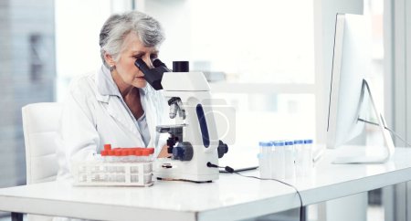 Foto de Una mirada detallada. una científica anciana enfocada mirando a través de un microscopio mientras está sentada en un laboratorio - Imagen libre de derechos