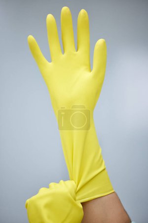 Photo for Hands, cleaning and rubber gloves for safety or hygiene while indoor for chores or housework as a maid. Bacteria, service and latex with a cleaner or janitor getting ready for housekeeping duties. - Royalty Free Image