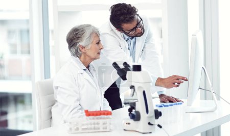 Photo for Putting their doctor heads together. two focused scientist working together on a computer inside of a laboratory - Royalty Free Image