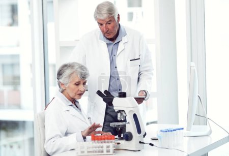 Photo for Masters in their profession. two elderly and focused scientists working together inside of a laboratory - Royalty Free Image