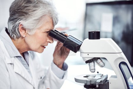 Photo for Making medical breakthroughs. a focused elderly female scientist looking through a microscope while being seated in a laboratory - Royalty Free Image