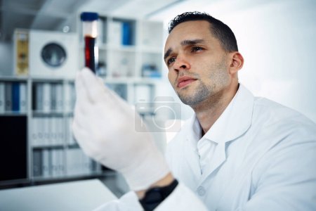 Photo for Man, scientist and analysis of blood in test tube, DNA and science experiment in laboratory. Male doctor with gloves, study sample and forensics, scientific innovation and medical research in lab. - Royalty Free Image