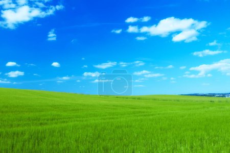 Téléchargez les photos : Colline, nuages et ciel bleu avec paysage de champ pour l'espace de maquette agricole, l'environnement et l'écologie. Plante, herbe et horizon avec prairie rurale pour le printemps, l'agriculture et la durabilité. - en image libre de droit