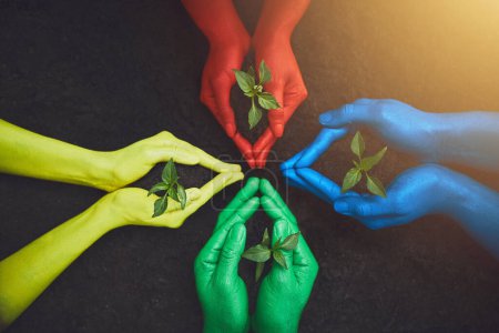 Foto de Ayudar a las manos marca la diferencia. personas irreconocibles sosteniendo plantas en ciernes en sus manos multicolores - Imagen libre de derechos