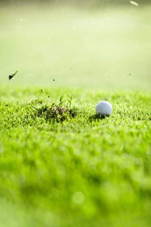 Photo for Grass, sports and a ball for golf on a course for a game, competition or training. Fitness, turf and a missed shot on a lawn for professional sport, hobby or recreation on a field for an activity. - Royalty Free Image