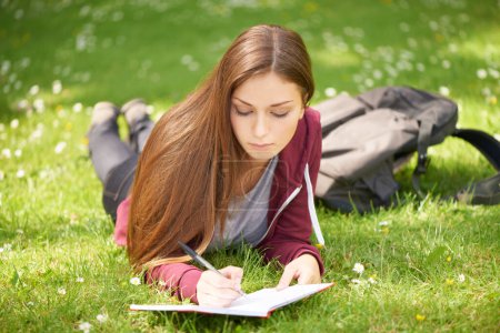 Photo for Woman, student and grass for writing, notebook and planning at university, campus and park for studying. Girl, book and pen for education, learning and brainstorming on lawn at college in sunshine. - Royalty Free Image