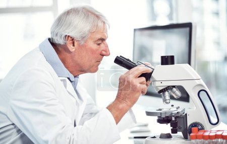 Téléchargez les photos : Ça fait des années qu'il fait ça. un homme scientifique âgé concentré regardant à travers un microscope tout en étant assis à l'intérieur d'un laboratoire - en image libre de droit