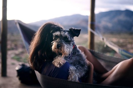 Photo for My human, my best friend. a young woman relaxing with her adorable dog in a hammock - Royalty Free Image