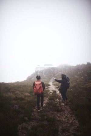 Téléchargez les photos : Regardez comme le brouillard couvre magnifiquement les montagnes. deux amis masculins en randonnée dans les montagnes avec un chien - en image libre de droit