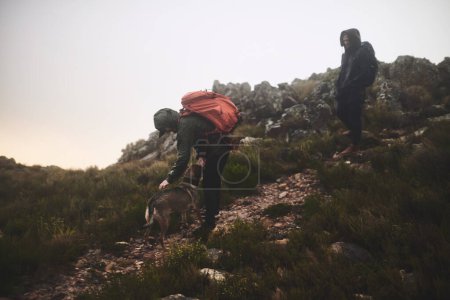 Téléchargez les photos : S'assurer qu'il est toujours bon d'y aller. deux amis masculins en randonnée dans les montagnes avec un chien - en image libre de droit