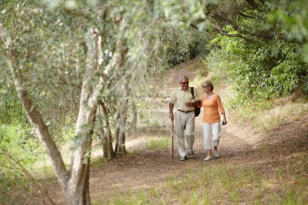 Photo for Hiking, nature and senior couple for fitness, walking stick and retirement exercise, wellness support or path in forest. Elderly people in woods for cardio, travel and health journey or trekking. - Royalty Free Image