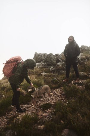 Téléchargez les photos : Personne n'aime autant la randonnée que mon chien. deux amis masculins en randonnée dans les montagnes avec un chien - en image libre de droit