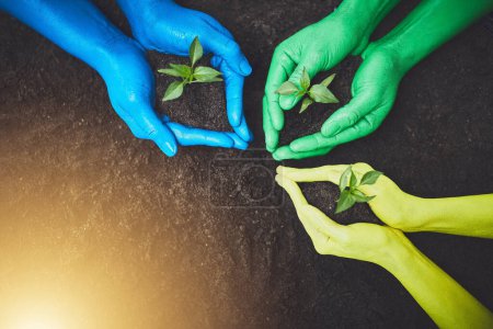 Photo for Follow the light. unrecognizable people holding budding plants in their multi colored hands - Royalty Free Image