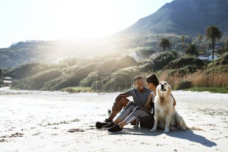 Foto de Parando para descansar rápido con su mejor amigo peludo. una joven pareja deportiva tomando un descanso con su perro mientras hace ejercicio en la playa - Imagen libre de derechos