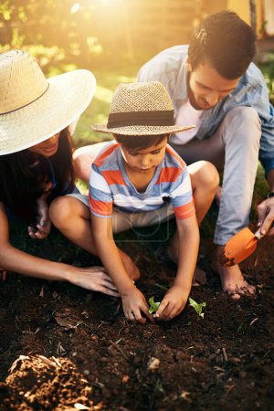 Photo for Dad, mother or child learning to plant in garden for sustainability, agriculture or farming as a family. Father, mom or parents gardening, planting or teaching a young kid agro growth in environment. - Royalty Free Image