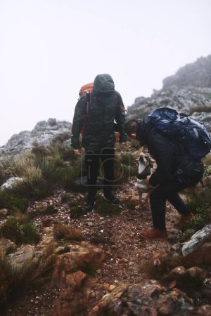 Téléchargez les photos : Je veux aller plus loin, mon pote. deux amis masculins en randonnée dans les montagnes avec un chien - en image libre de droit