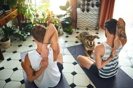 Téléchargez les photos : Avec la force intérieure vient la force physique. deux hommes passant par une routine de yoga à la maison pendant que leur chien regarde - en image libre de droit