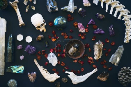Photo for So many to choose from. High angle shot of a table filled with different types of crystals inside during the day - Royalty Free Image