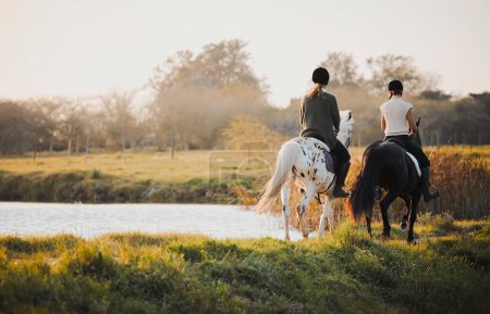 Reiten, Freiheit und Freunde in der Natur am See an einem Sommermorgen mit Aussicht. Land, Reiter und Reiterinnen verbinden sich für Wildnisreisen oder Abenteuer im Freien.