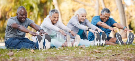 Téléchargez les photos : Fitness, étirements et personnes âgées dans le parc pour le corps sain, le bien-être et l'entraînement actif à l'extérieur. Retraite, sport et les hommes et les femmes étirent les jambes sur l'herbe pour l'exercice, l'entraînement et le réchauffement. - en image libre de droit