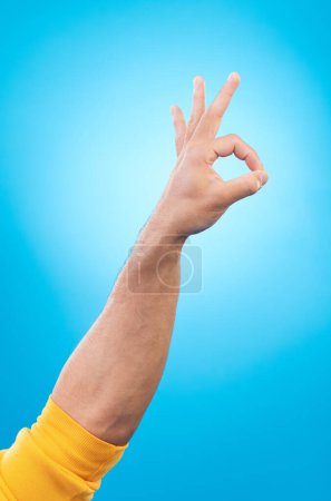 Photo for Hand, ok sign and studio closeup for agreement, vote and choice with emoji by blue background. Finger icon, communication and promotion with symbol, review and decision with opinion by backdrop. - Royalty Free Image