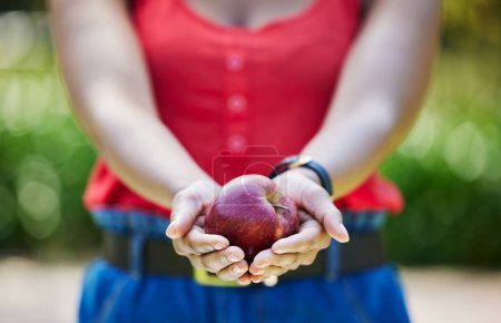 Photo for Woman, hands and apple for food diet, natural nutrition or health and wellness in nature outdoors. Closeup of female person holding organic fruit in palm for sustainability, vitamin or fiber meal. - Royalty Free Image