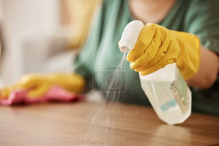 Photo for Hand, spray bottle and a woman cleaning a wooden surface in her home for hygiene or disinfection. Gloves, product and bacteria with a female cleaner using detergent to spring clean in an apartment. - Royalty Free Image