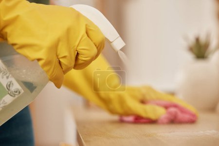 Foto de Mano, spray y una mujer limpiando una superficie de madera en su casa para higiene o desinfección. Guantes de goma, productos y bacterias con un limpiador femenino que utiliza detergente para limpiar en primavera en un apartamento. - Imagen libre de derechos