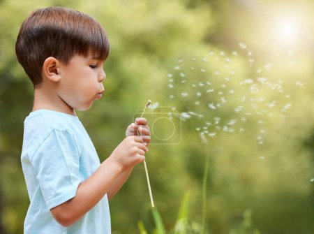 Photo for Nature, meadow and child blowing dandelion for wish, hope and growth in field with flowers. Spring, childhood and profile of young boy with wildflower in park for adventure, freedom and happiness. - Royalty Free Image