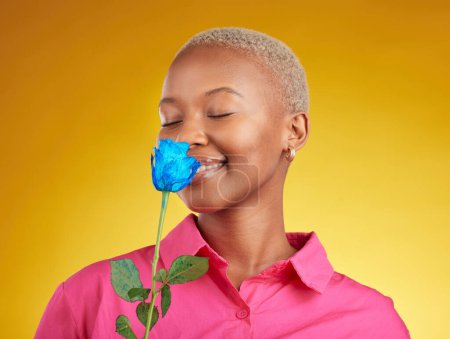 Photo for Smelling, love and spring with black woman and rose in studio for blossom, plant and environment. Gift, love and blue flower with face of person on yellow background for floral, scent and mockup. - Royalty Free Image