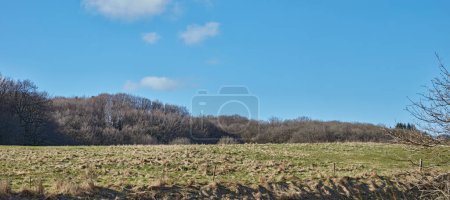 Photo for Denmark nature, countryside and environment. Nature in the Kingdom of Denmark - Royalty Free Image