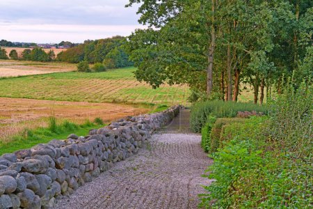 Foto de Dinamarca naturaleza, campo y medio ambiente. Naturaleza en el Reino de Dinamarca - Imagen libre de derechos