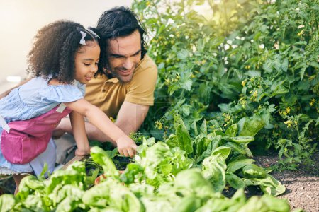 Photo for Gardening, father and girl in backyard with plants, teaching and learning with agro growth in nature. Small farm, sustainable food and dad helping child in vegetable garden with love, support and fun. - Royalty Free Image