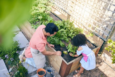 Photo for Gardening, father and child with plants from above, teaching and learning with growth in nature. Small farm, sustainable food and dad helping daughter in vegetable garden with love, support and fun - Royalty Free Image