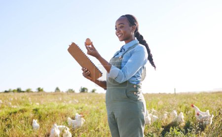 Photo for Woman in field with chickens, clipboard and egg, quality assurance and sustainable small business farming in Africa. Poultry farm inspection, checklist and farmer in countryside with birds in grass - Royalty Free Image
