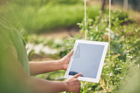 Photo for Hands on tablet, screen and woman on farm, research internet website and information on plants. Nature, technology and farmer with digital app for sustainability, agriculture and analysis in garden - Royalty Free Image