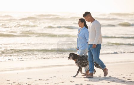 Photo for Beach, pet and couple walking with dog by ocean for freedom, adventure and bonding together in nature. Healthy animal, dating and man and woman by sea for exercise, wellness and training at sunset. - Royalty Free Image
