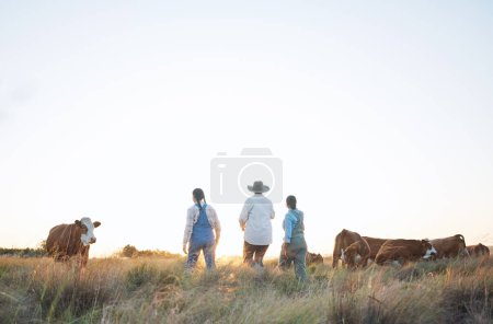 Foto de Granja, campo y mujeres en el campo con vaca para inspección, salud del ganado y cuidado de animales. Agronegocios, agricultura y ganadería para la producción lechera, ganadera y ganadera sostenible. - Imagen libre de derechos