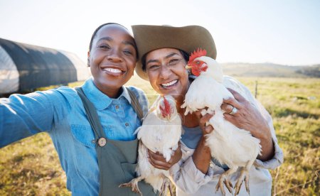 Téléchargez les photos : Sourire, selfie ou agriculteurs dans une ferme de poulets à la campagne sur la récolte de bétail dans les champs de petite entreprise. Médias sociaux, heureux ou portrait de femmes avec des oiseaux animaux à prendre en photo pour la mémoire agricole. - en image libre de droit