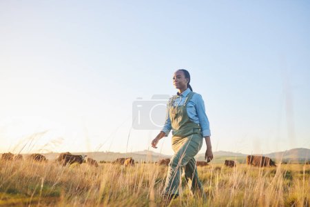 Photo for Woman, farmer and walking in countryside on grass field with cow and cattle worker. African female person, and agriculture outdoor with animals and livestock for farming in nature with mockup space. - Royalty Free Image
