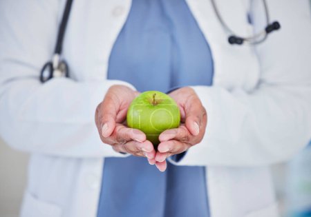 Photo for Doctor, hands and apple in healthcare diet, natural nutrition or healthy vitamin food at the hospital. Closeup of medical professional holding organic green fruit for health and wellness at clinic. - Royalty Free Image