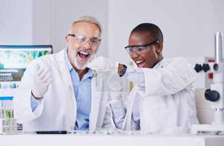 Photo for Scientist, people with test tube and plant, cheers and success, black woman and senior man, medical research in lab. Mentor, learning and leaf sample, environment study breakthrough and celebration. - Royalty Free Image