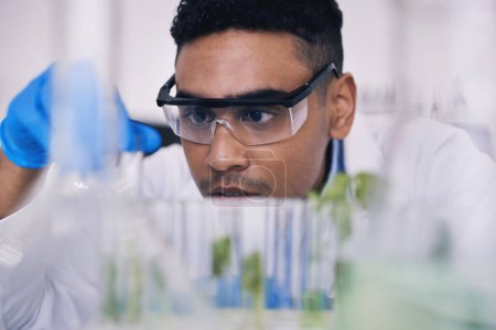 Photo for Science, nature and man with test tube in laboratory, research and thinking with plants. Biotechnology, pharmaceutical study and scientist with leaf, lab technician checking green solution in glass - Royalty Free Image