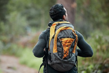 Téléchargez les photos : Homme, sac à dos et marche avec dos, vue et camping Voyage dans la forêt pour des vacances. Exercice, trekking et randonnée dans les bois pour des vacances en toute liberté sur le chemin de la nature et un voyage. - en image libre de droit