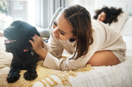 Photo for Dog, bed and happy lesbian couple play in home, morning and relax together in house. Pet, bedroom and gay women with animal, bonding and having fun in healthy relationship, love connection and care. - Royalty Free Image