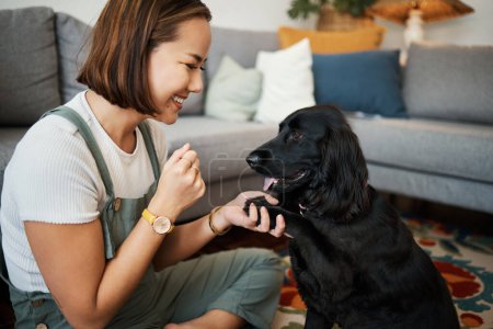 Photo for Love, paw and woman with dog in home lounge to relax and play with animal. Pet owner, happiness and asian person on floor for training companion, care and wellness or friendship in cozy apartment. - Royalty Free Image