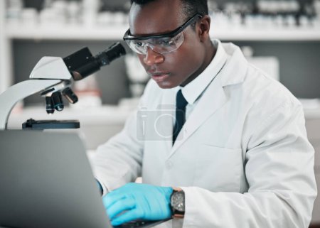 Photo for Science, laptop and black man with research, medical and microscope with healthcare, typing and chemistry. African person, biologist or scientist with a computer, laboratory equipment and digital app. - Royalty Free Image