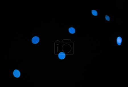Téléchargez les photos : Bokeh, points bleus et lumières sur fond noir avec motif, texture et maquette avec esthétique cosmique. Éclairage nocturne, particules scintillantes et lueur sur papier peint sombre avec espace, éclat de couleur et éclat - en image libre de droit